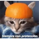 Michis enamorados 6