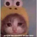Michis enamorados 7