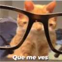 Michis enamorados 9