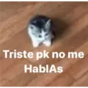 Michis enamorados 10