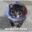 Michis enamorados 11