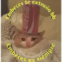 Michis enamorados 12