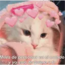 Michis enamorados 13