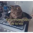 Michis enamorados 14
