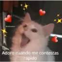 Michis enamorados 15