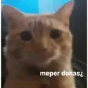 Michis enamorados 16
