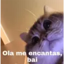 Michis enamorados 19