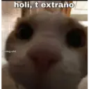 Michis enamorados 20
