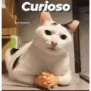 Michis enamorados 21
