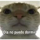 Michis enamorados 22
