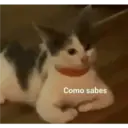 Michis enamorados 28