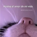 Michis enamorados 29