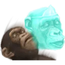 Macaco 1