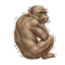 Macaco 2