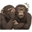Macaco 3