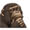 Macaco 4