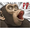 Macaco 10