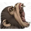 Macaco 11