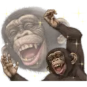 Macaco 15