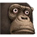 Macaco 19