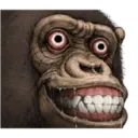 Macaco 20