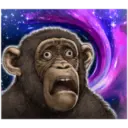 Macaco 24