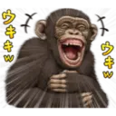 Macaco 25