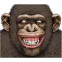 Macaco 28