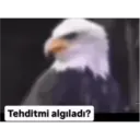 Twitter 8