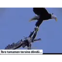 Twitter 11