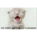 Shitpost xdd 15