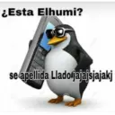 Pinguino 1