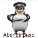 Pinguino 3