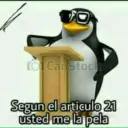 Pinguino 4
