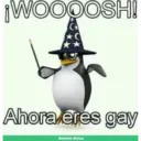 Pinguino 6