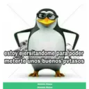 Pinguino 8