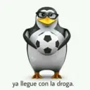 Pinguino 9