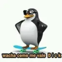Pinguino 11