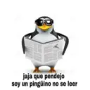 Pinguino 12