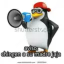 Pinguino 14