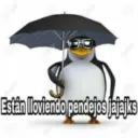 Pinguino 15