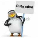 Pinguino 17