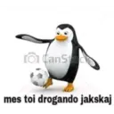 Pinguino 19