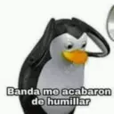 Pinguino 23