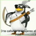 Pinguino 24