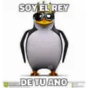 Pinguino 27