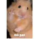 Patu 2