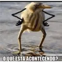 Patu 3