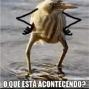Patu 4