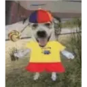 Patu 9